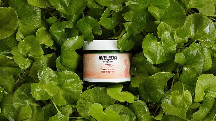 creme with leaves
